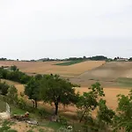 Fiori *
